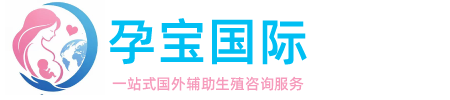 格鲁吉亚试管助孕公司